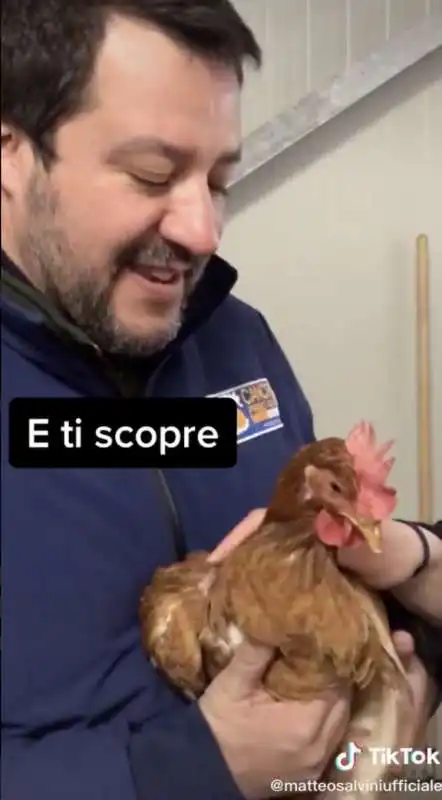 matteo salvini con le galline su tiktok