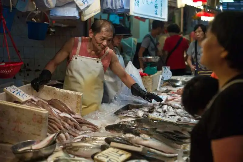 wet market cina