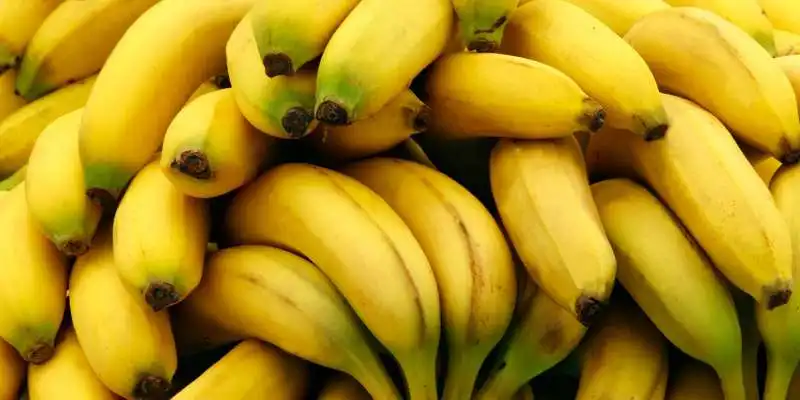 banane  1