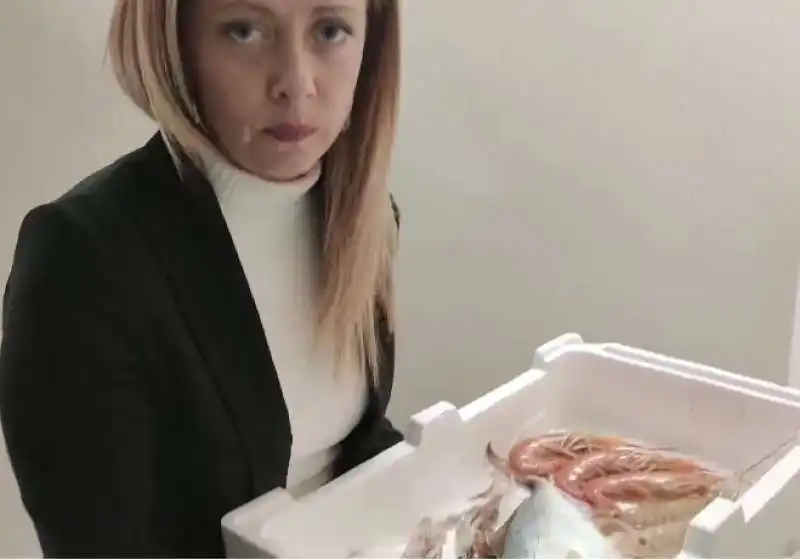 GIORGIA MELONI E IL VIDEO CON IL PESCE