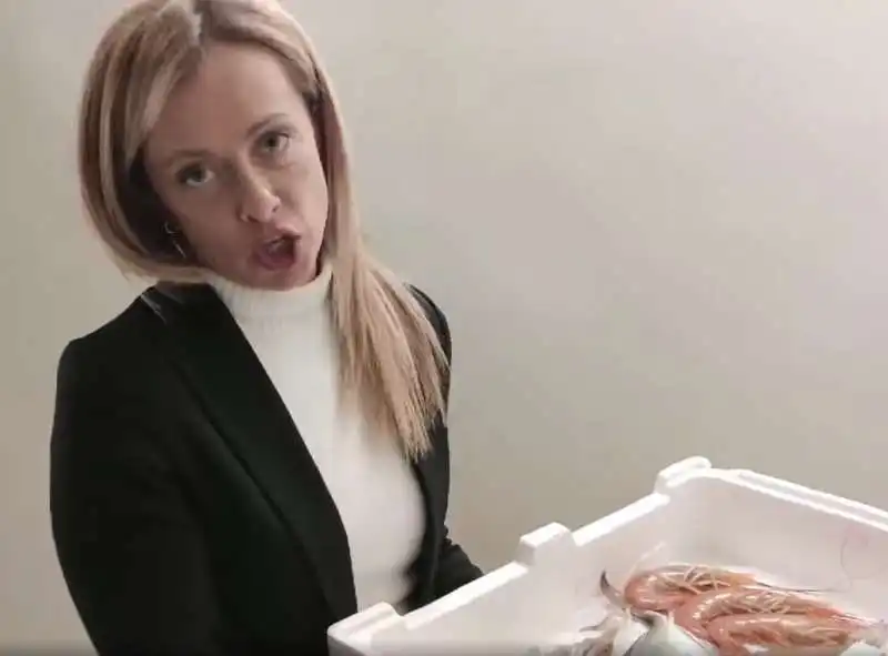 GIORGIA MELONI E IL VIDEO CON IL PESCE