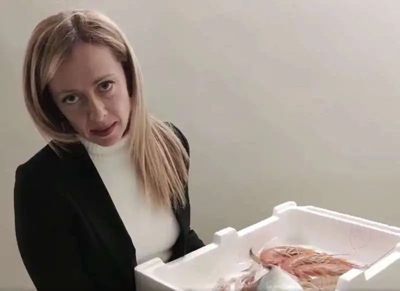 GIORGIA MELONI E IL VIDEO CON IL PESCE