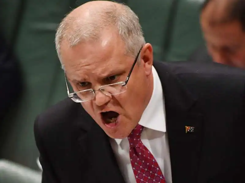 scott morrison 