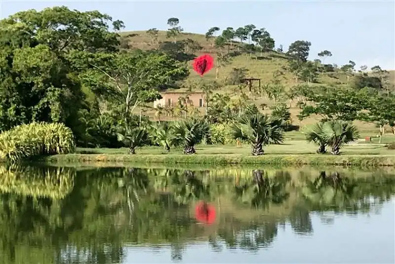 vagina gigante dell'artista juliana notari in brasile 4