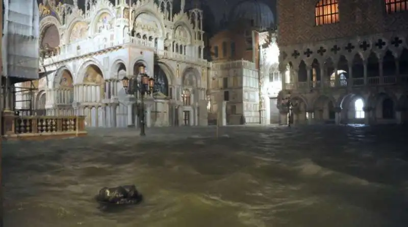 acqua alta basilica san marco 8