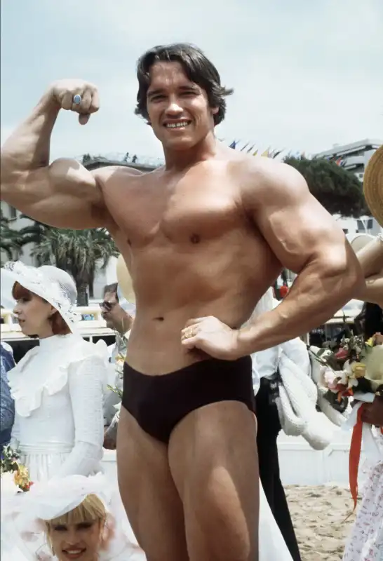 arnold schwarzenegger a cannes 2