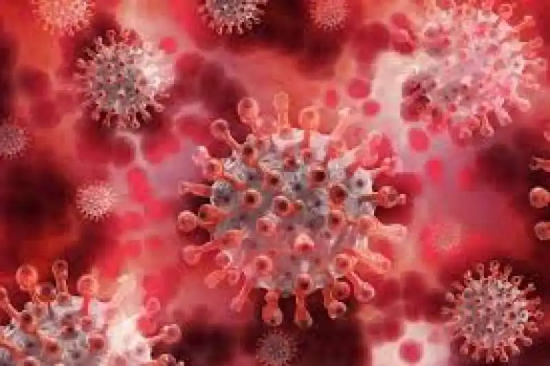 coronavirus