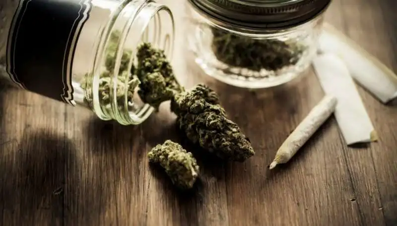 covid hotel con marijuana a new york 3