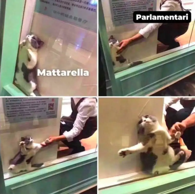 meme su sergio mattarella 35