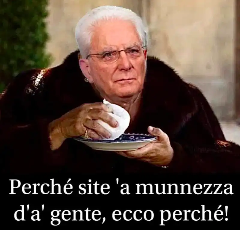 meme su sergio mattarella 5