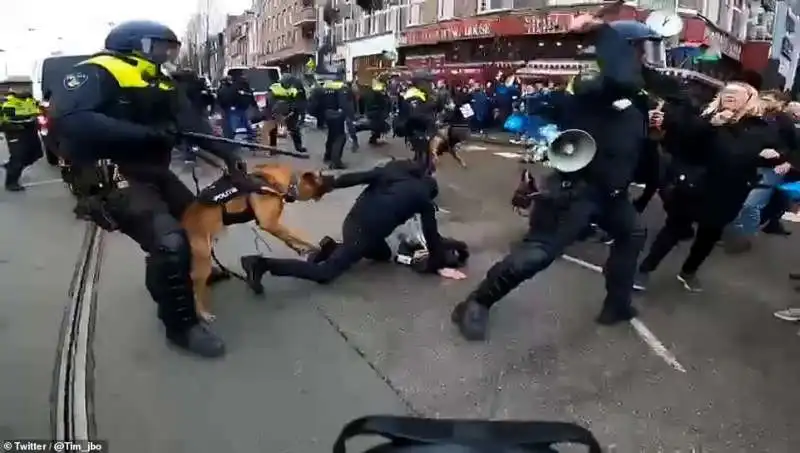 proteste no vax in olanda 10