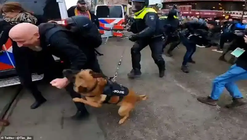 proteste no vax in olanda 9