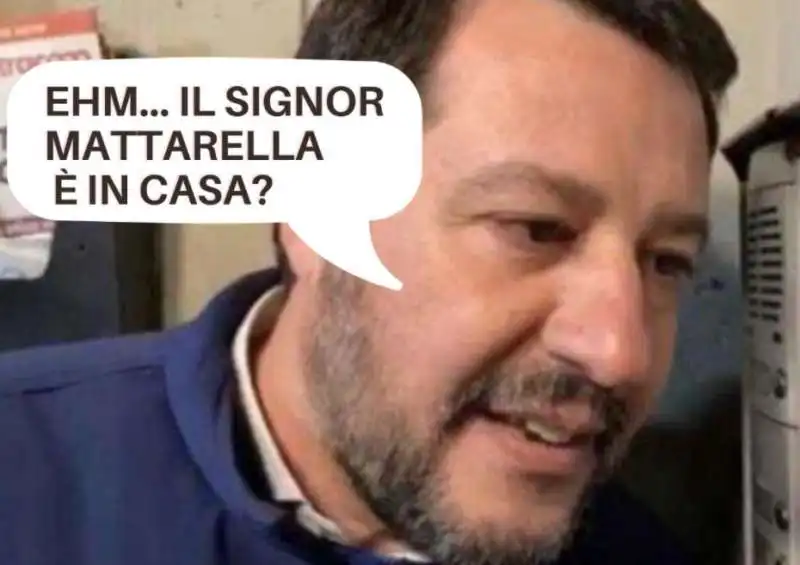 salvini e il mattarella bis   meme