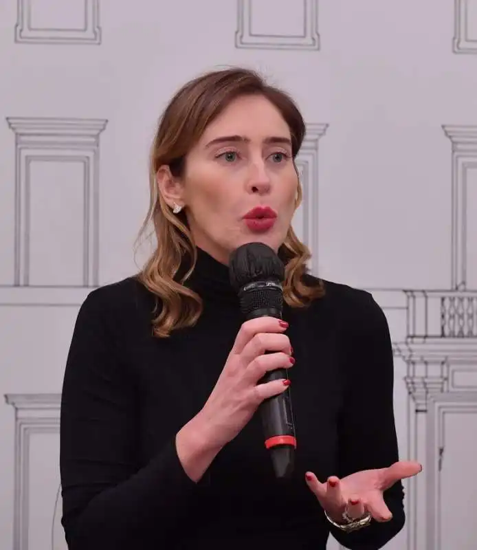 maria elena boschi  foto di bacco (7)