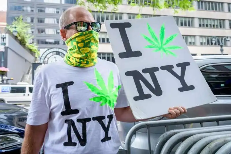 MARIJUANA NEW YORK 