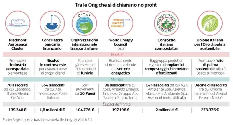 ong che si dichiarano no profit 