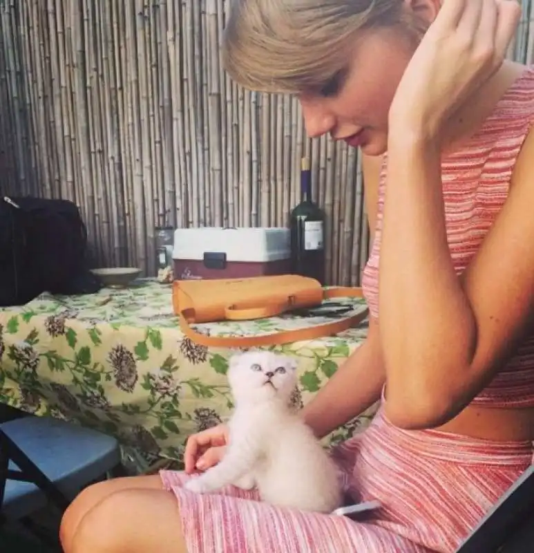 taylor swift con la gatta olivia 2