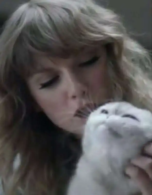 taylor swift con la gatta olivia 3