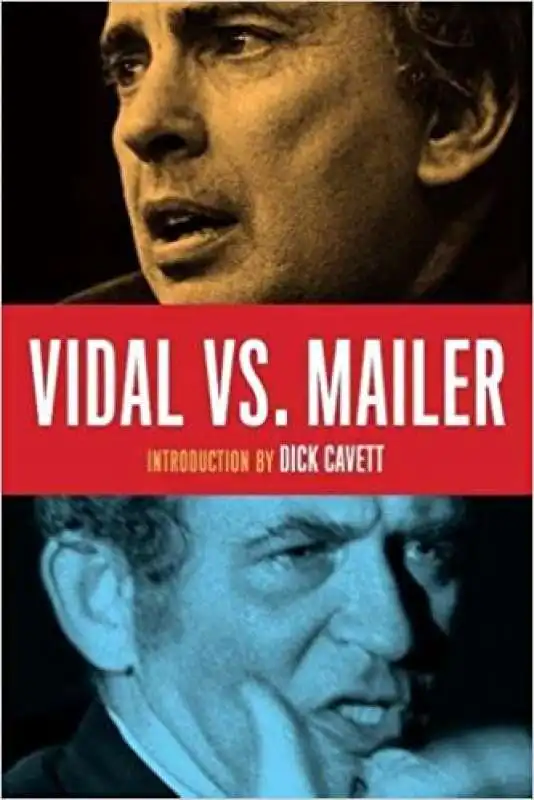 vidal vs mailer