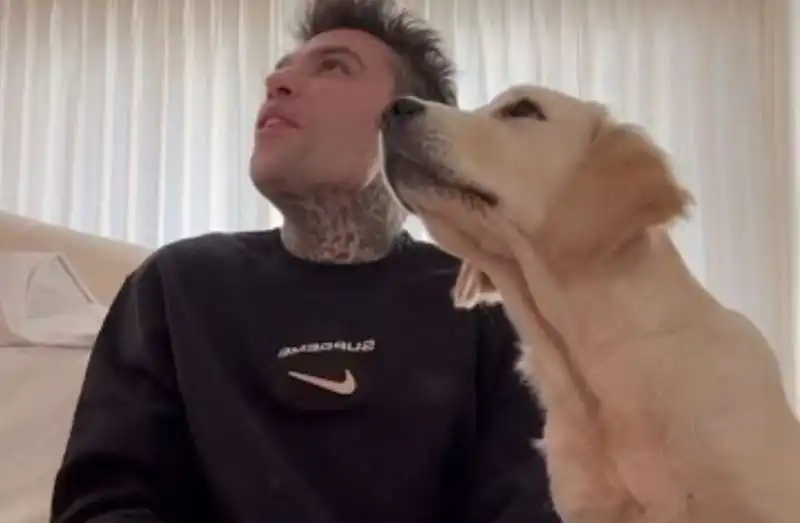 fedez e paloma