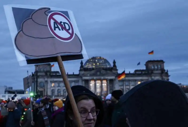 germania   manifestazioni contro afd   2