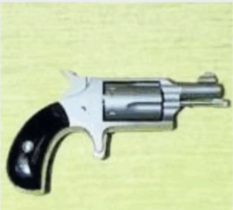 IL MINI REVOLVER NORTH AMERICAN ARMS LR22 DI EMANUELE POZZOLO