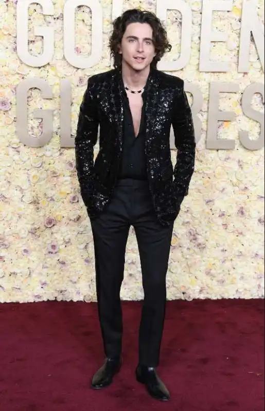 timothee chalamet in celine