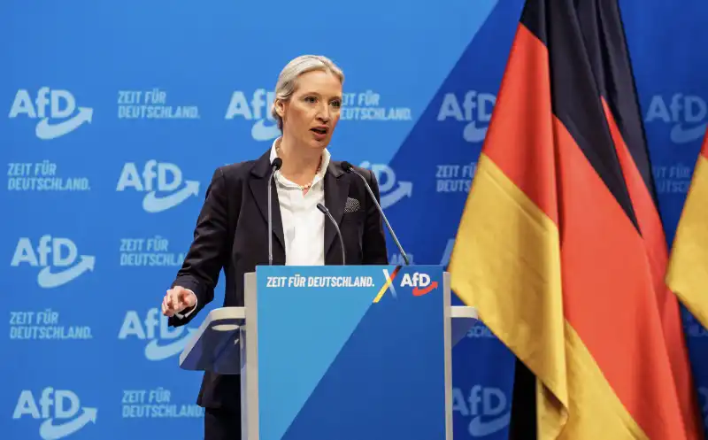 ALICE WEIDEL - AFD