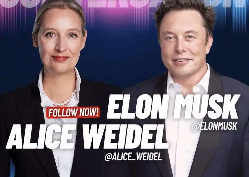 ALICE WEIDEL ELON MUSK 