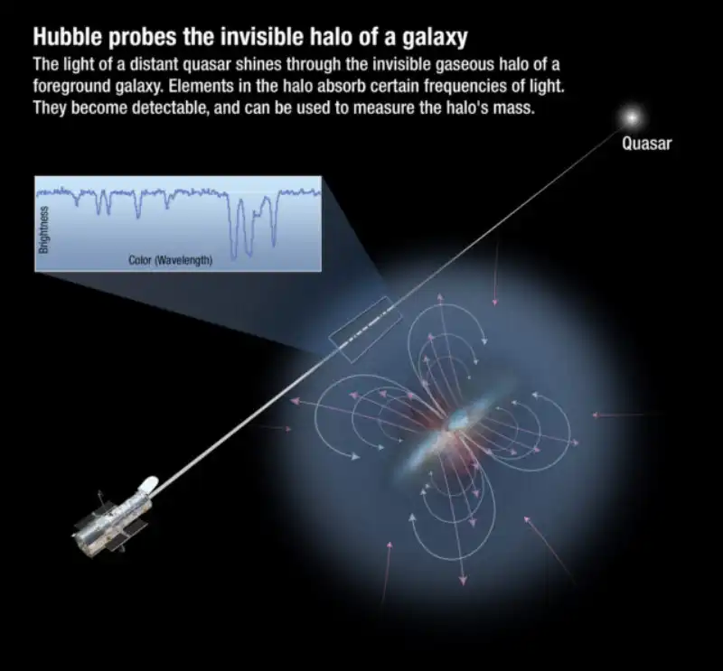 descrizione di come hubble rileva il carbonio in un mezzo circumgalattico 