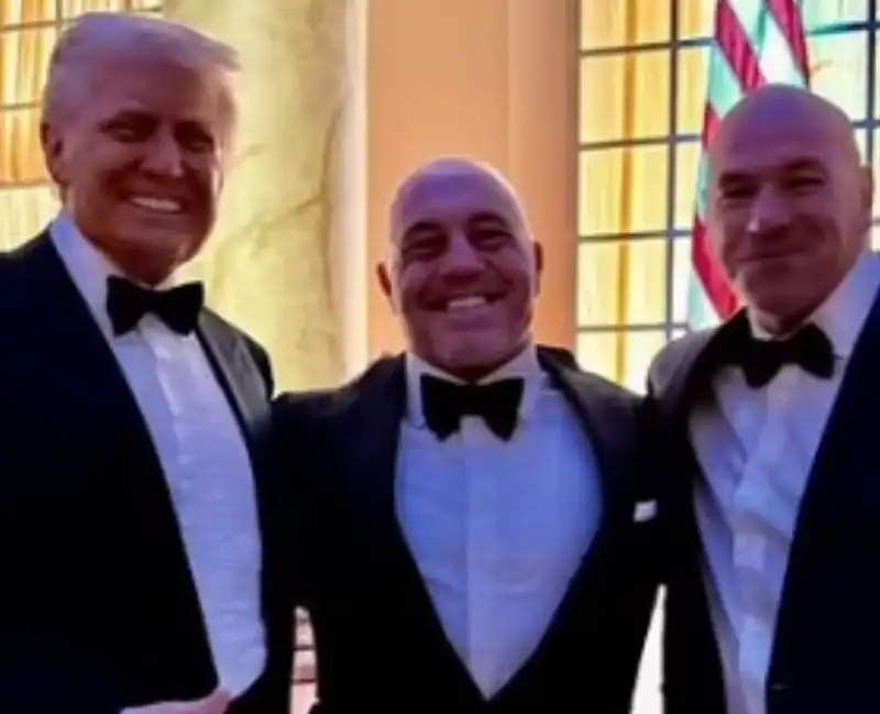 donald trump joe rogan dana white