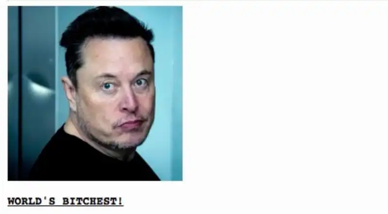 drudge report bolla come puttana elon musk