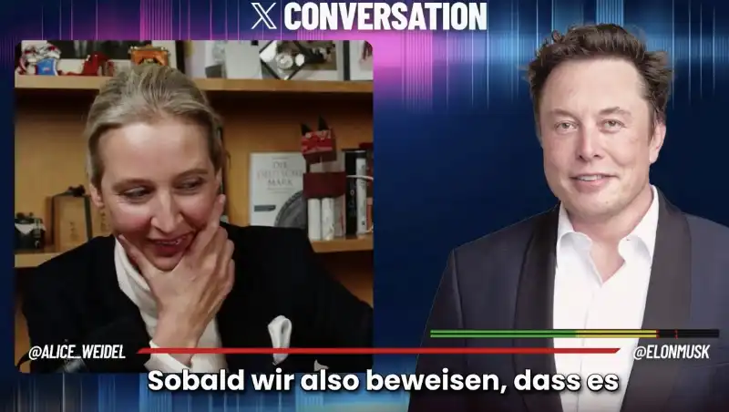 elon musk intervista alice weidel su x   3