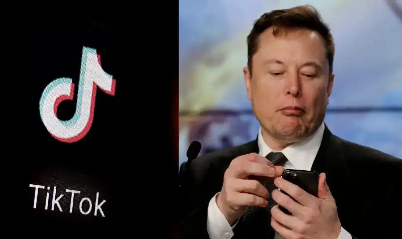 elon musk tiktok