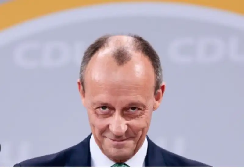 friedrich merz