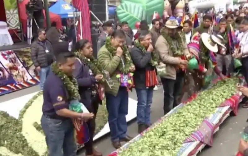 giornata della masticazione della coca in bolivia   1