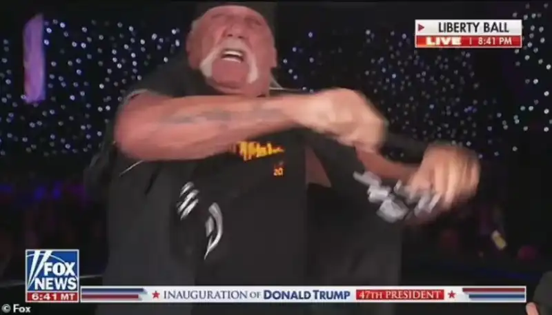 hulk hogan