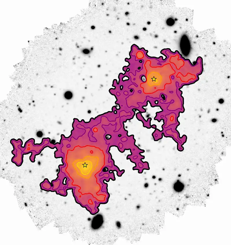 la ragnatela cosmica che forma l'universo 