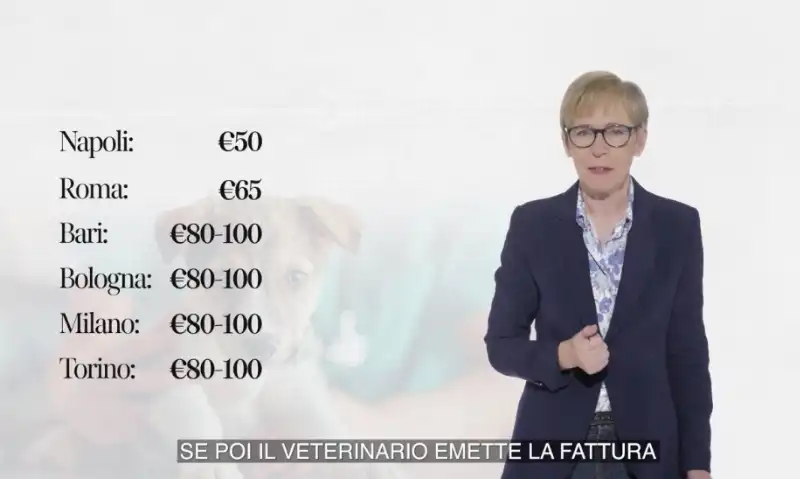 milena gabanelli   il costo dei farmaci per animali   dataroom 5