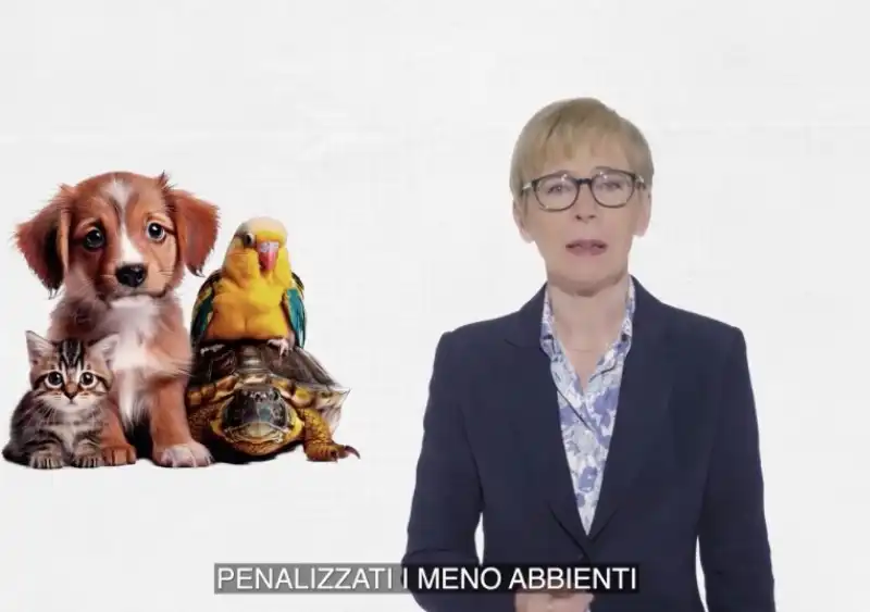 milena gabanelli   il costo dei farmaci per animali   dataroom 8