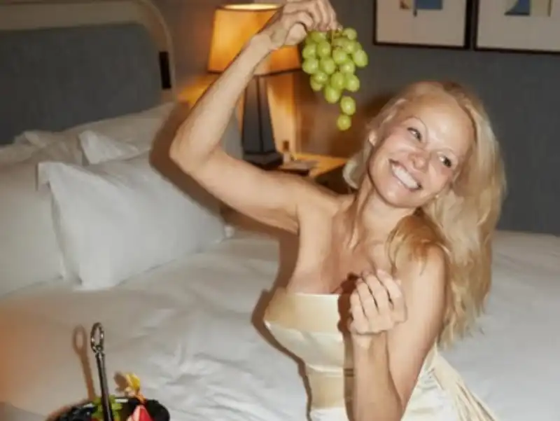 pamela anderson 8