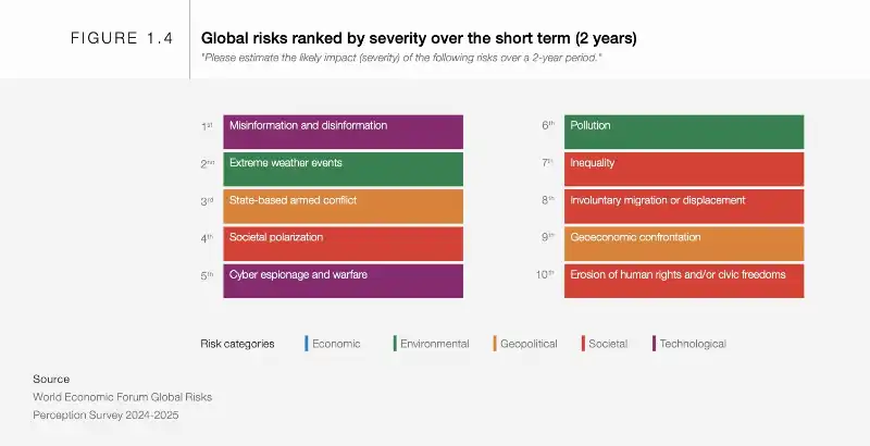 rischi globali a breve periodo   rapporto sui rischi globali del world economic forum (davos) 