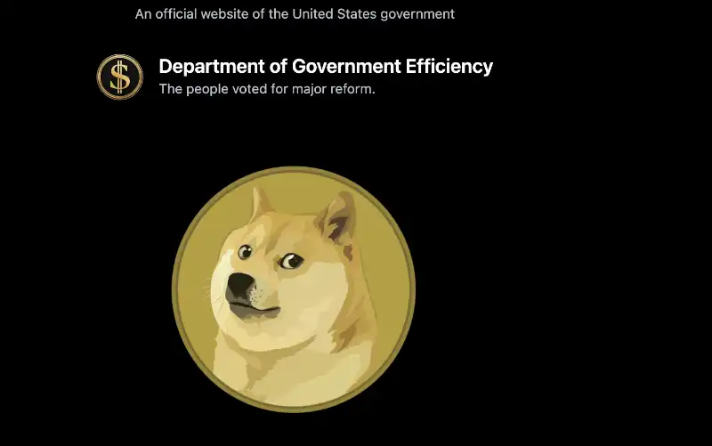 sito web doge