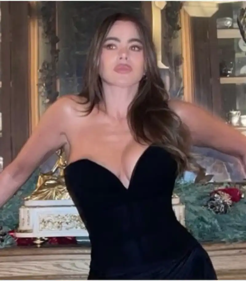 sofia vergara 3