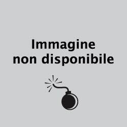 AMMINISTRATORE DELEGATO DELLA 