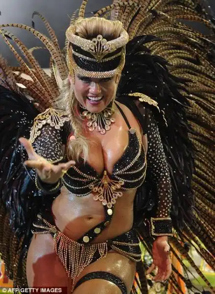 CARNEVAL DO BRASIL 2013