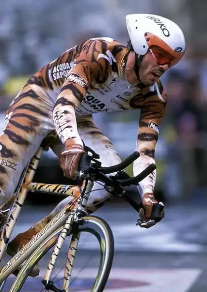 CIPOLLINI