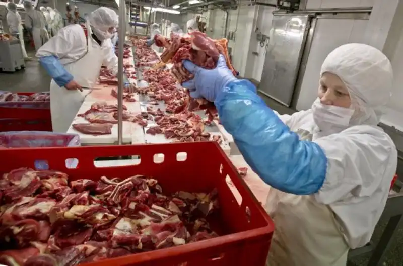 INDUSTRIA ALIMENTARE CARNE 