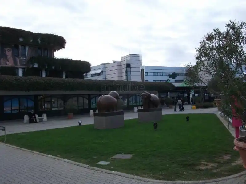 aeroporto-di-pisa-galileo-galilei