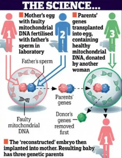 CAMBIARE IL DNA PER CORREGGERE I MITOCONDRI 